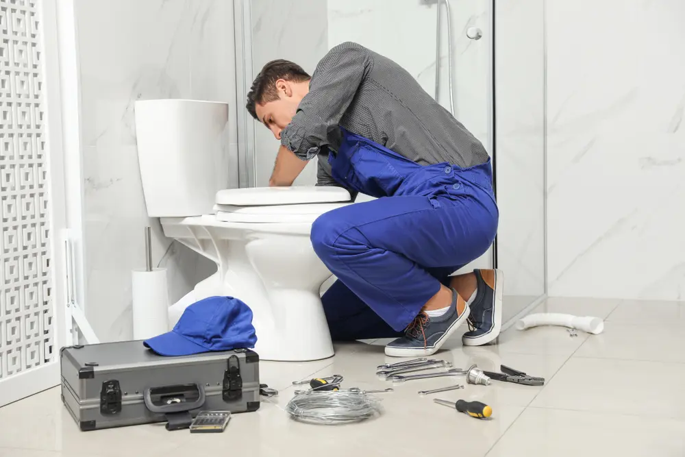 Toilet Installation in Bella Vista
